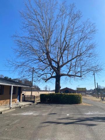 Andy Griffith Parkway Inn 芒特艾里 外观 照片